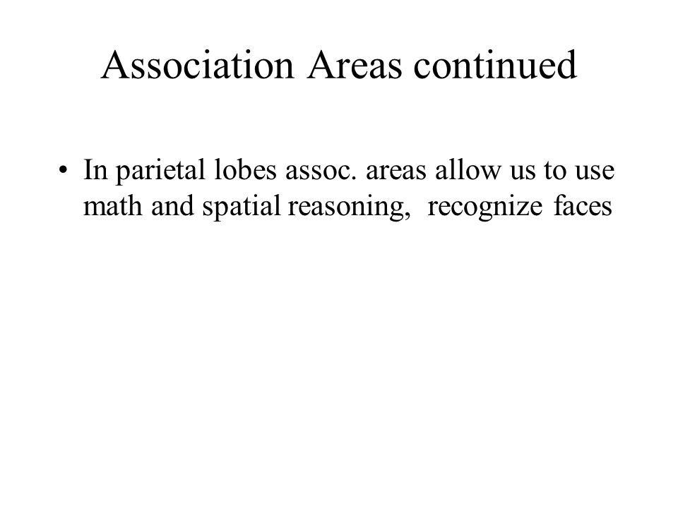 Association Areas continued