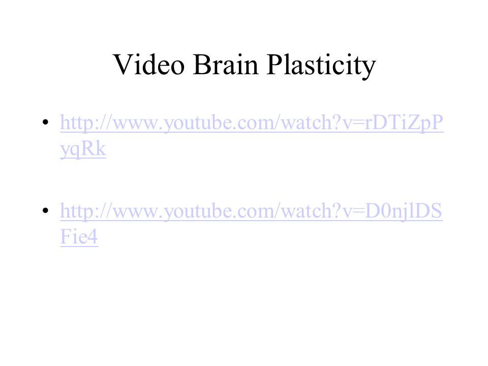 Video Brain Plasticity