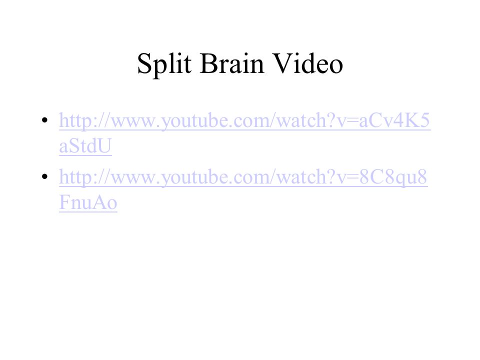 Split Brain Video   v=aCv4K5aStdU