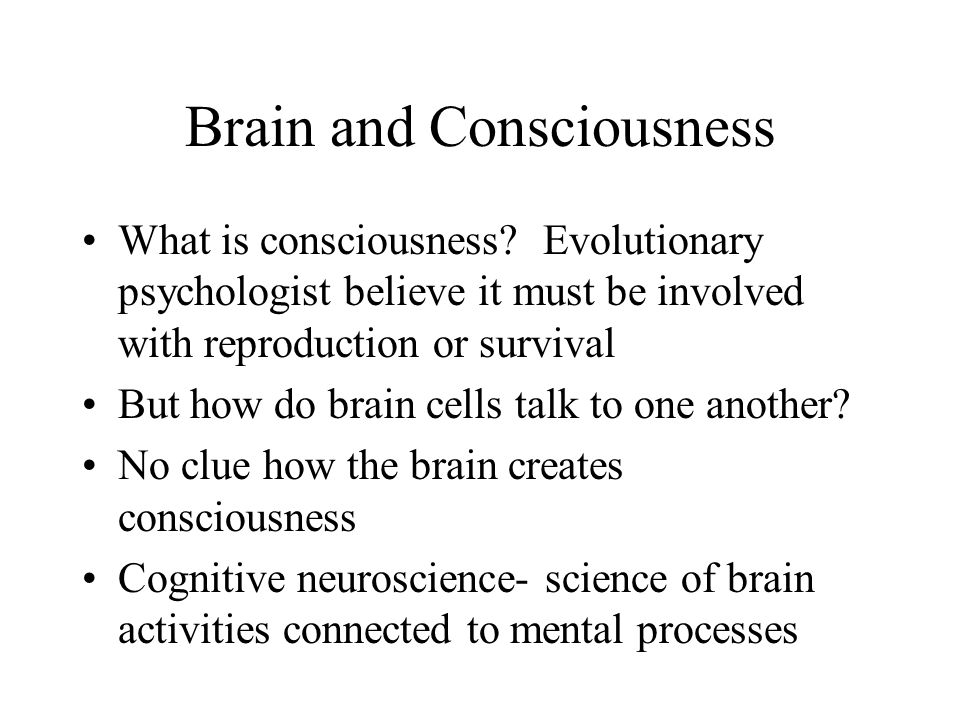 Brain and Consciousness