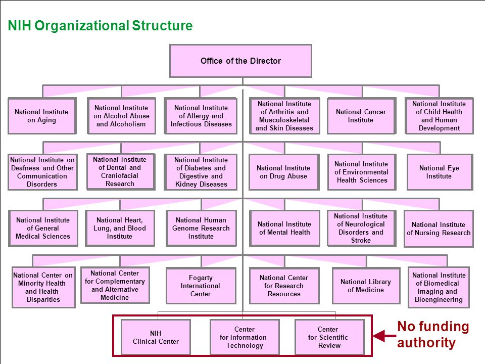Nih Organizational Chart