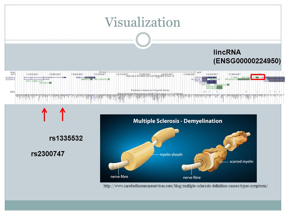 Visualization lincRNA (ENSG ) rs rs