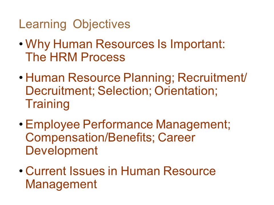 Learning Objectives Why Human Resources Is Important: The HRM Process.