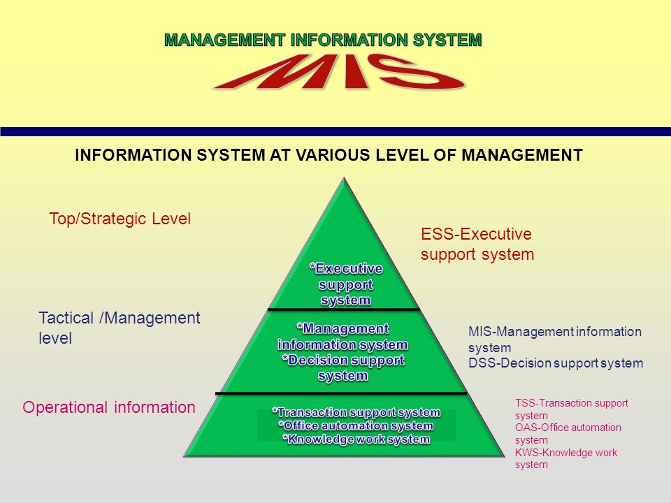 MANAGEMENT INFORMATION SYSTEM