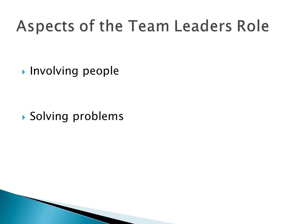 Aspects of the Team Leaders Role