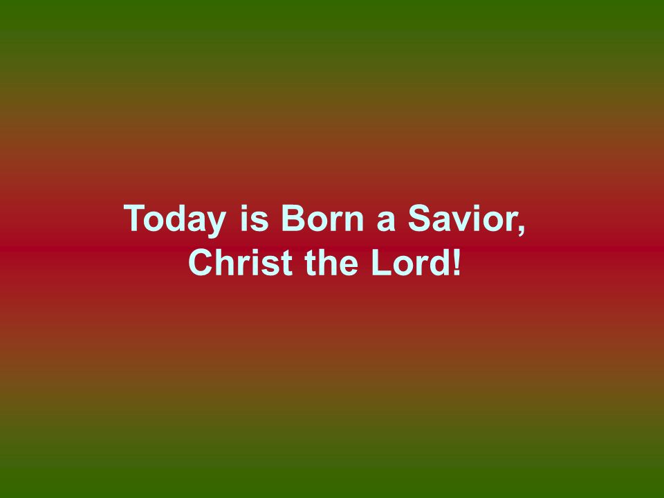 Today is Born a Savior, Christ the Lord!