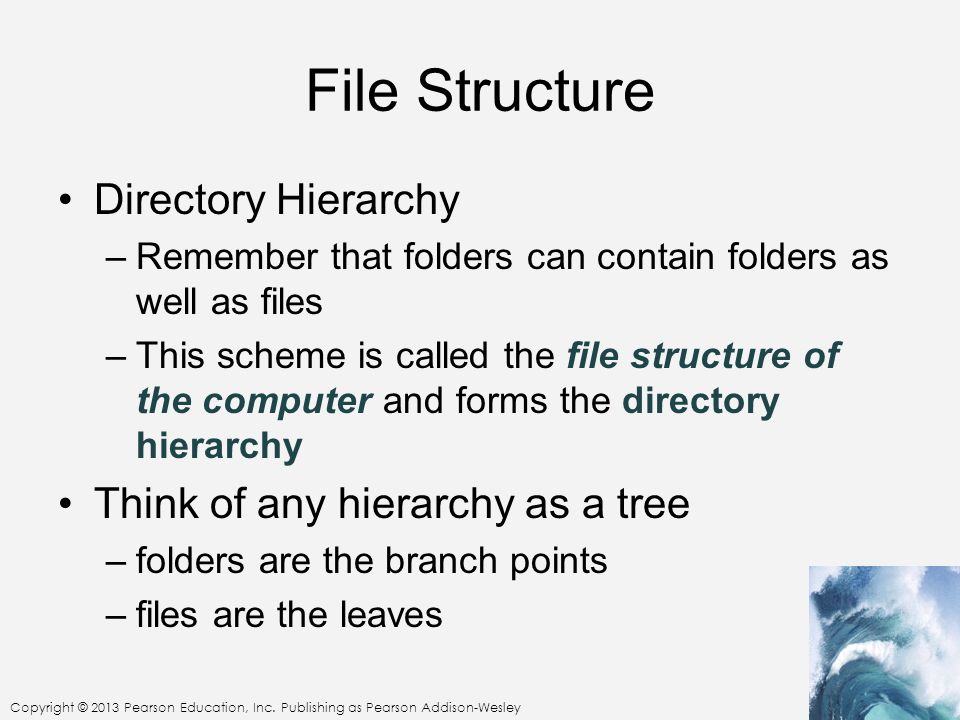 File Structure Directory Hierarchy Think of any hierarchy as a tree