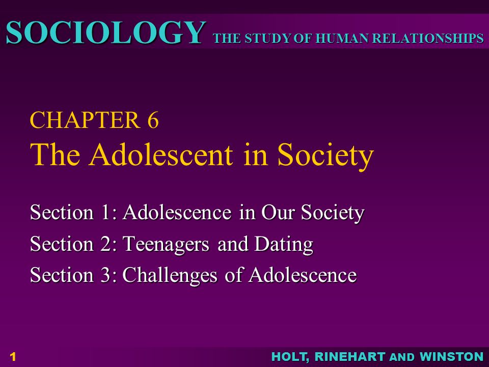 CHAPTER 6 The Adolescent in Society