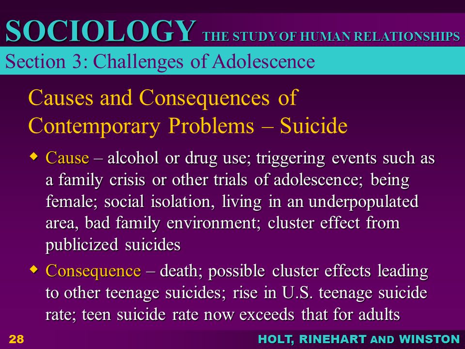 Causes and Consequences of Contemporary Problems – Suicide