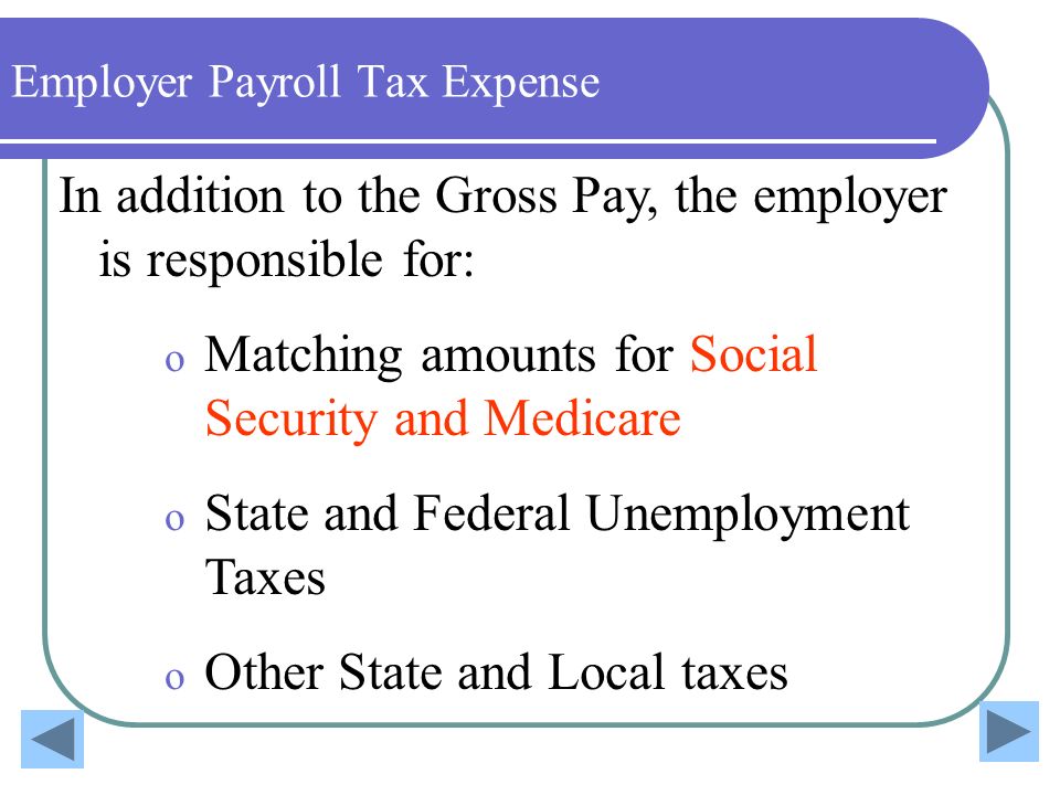 Employer Payroll Tax Expense