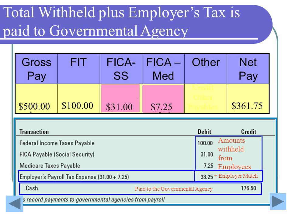 Employer’s Payroll Tax Expense
