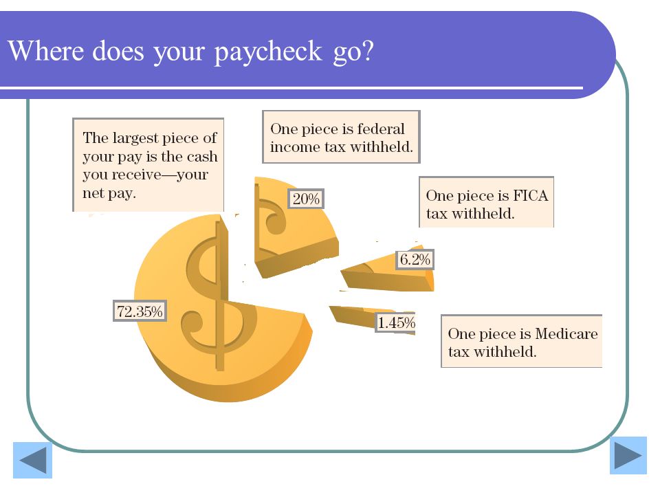 Where does your paycheck go