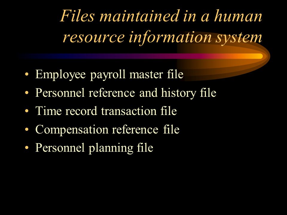 Files maintained in a human resource information system