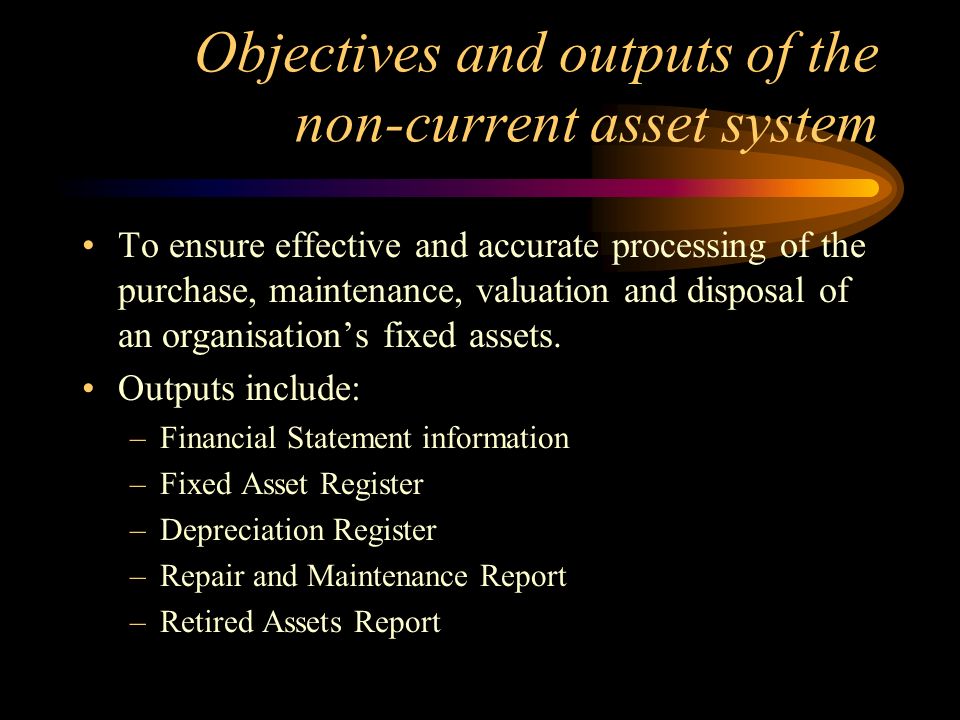Objectives and outputs of the non-current asset system