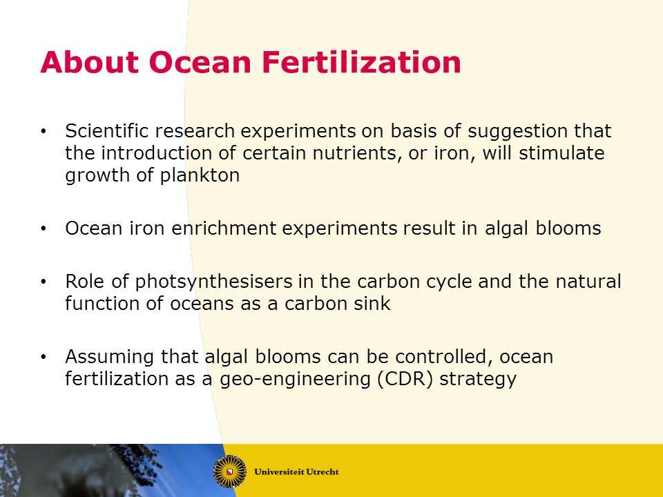 About Ocean Fertilization