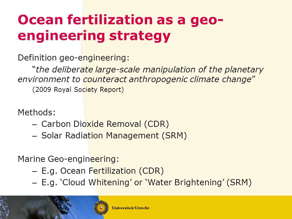 Ocean fertilization as a geo-engineering strategy