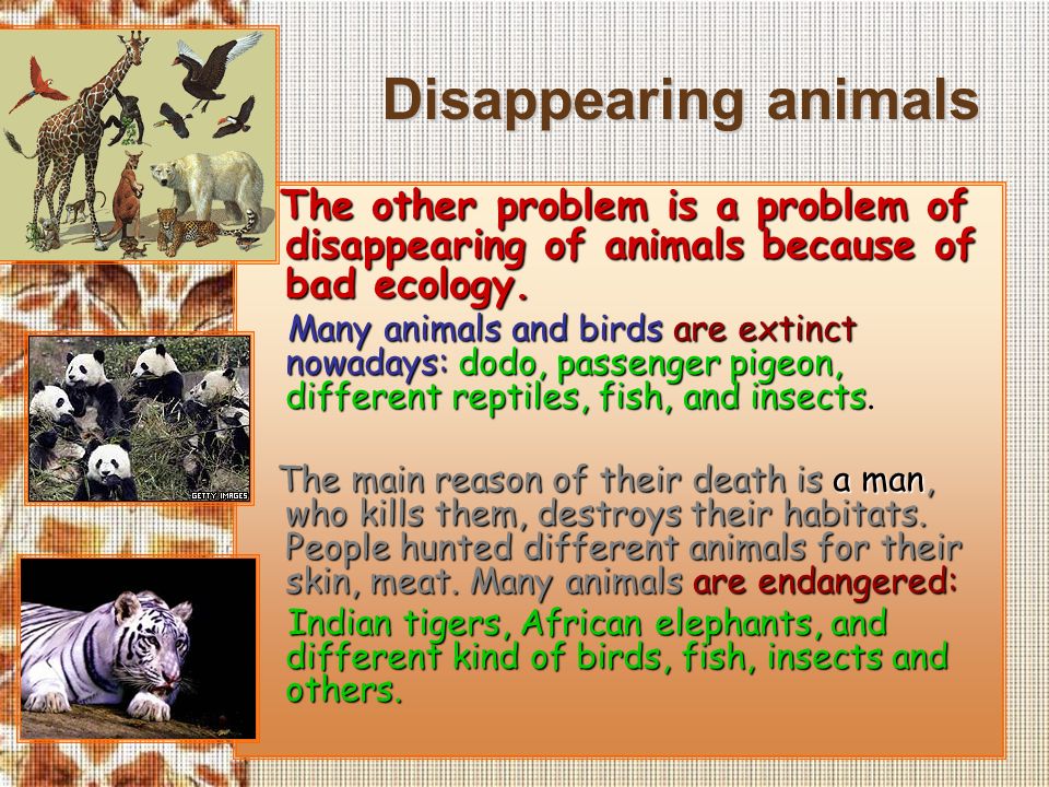 Do they like animals. Disappearing animals. Задание английский extinct Wildlife. What causes the disappearance of animals. Разница inactive extinct disappeared примеры.