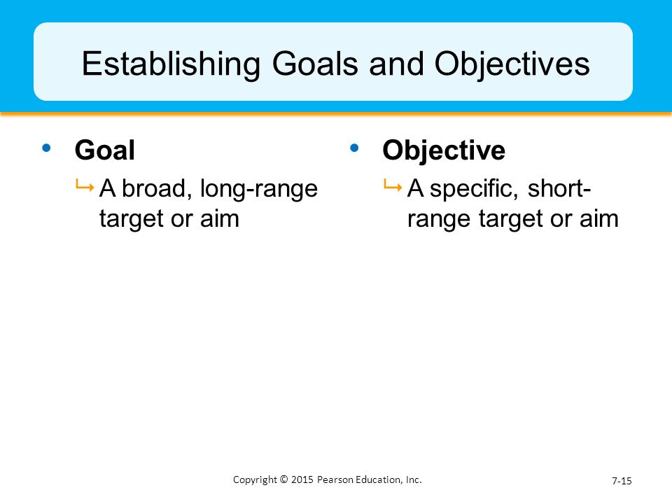 Establishing Goals and Objectives
