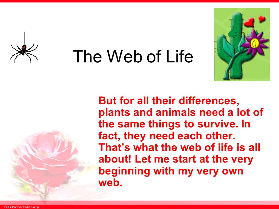 The Web of Life