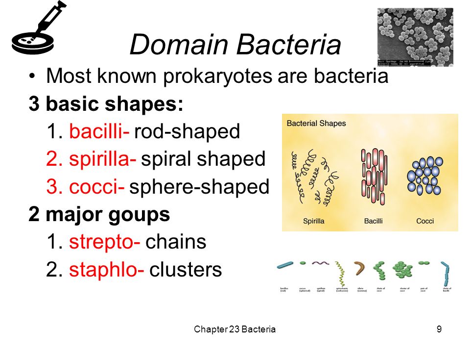 Blue Book Chapter 23 Your Book Chapter 20 Ppt Video Online Download
