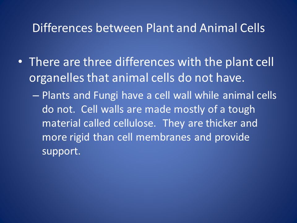 What is an Organism? Definition: - ppt video online download