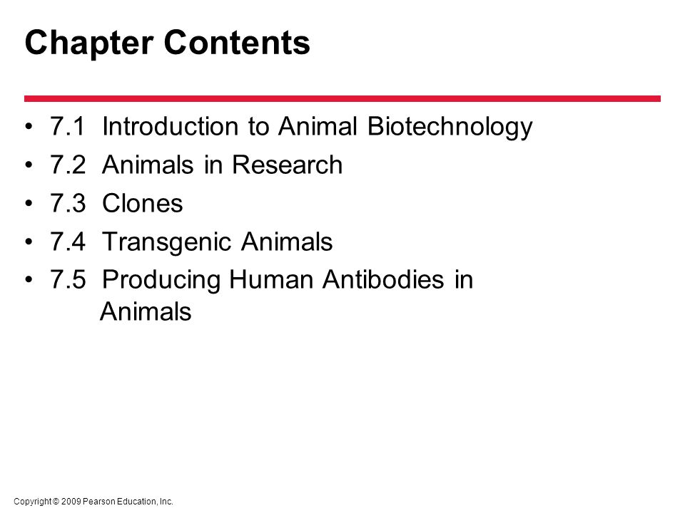 Chapter 7 Animal Biotechnology. - ppt video online download