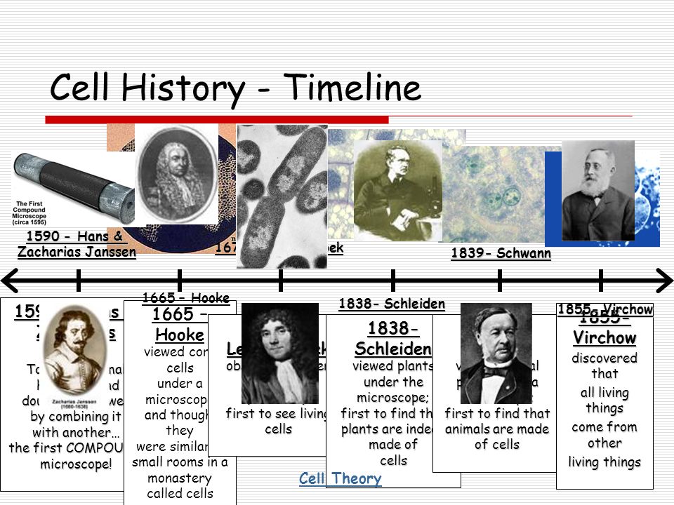 cell history timeline