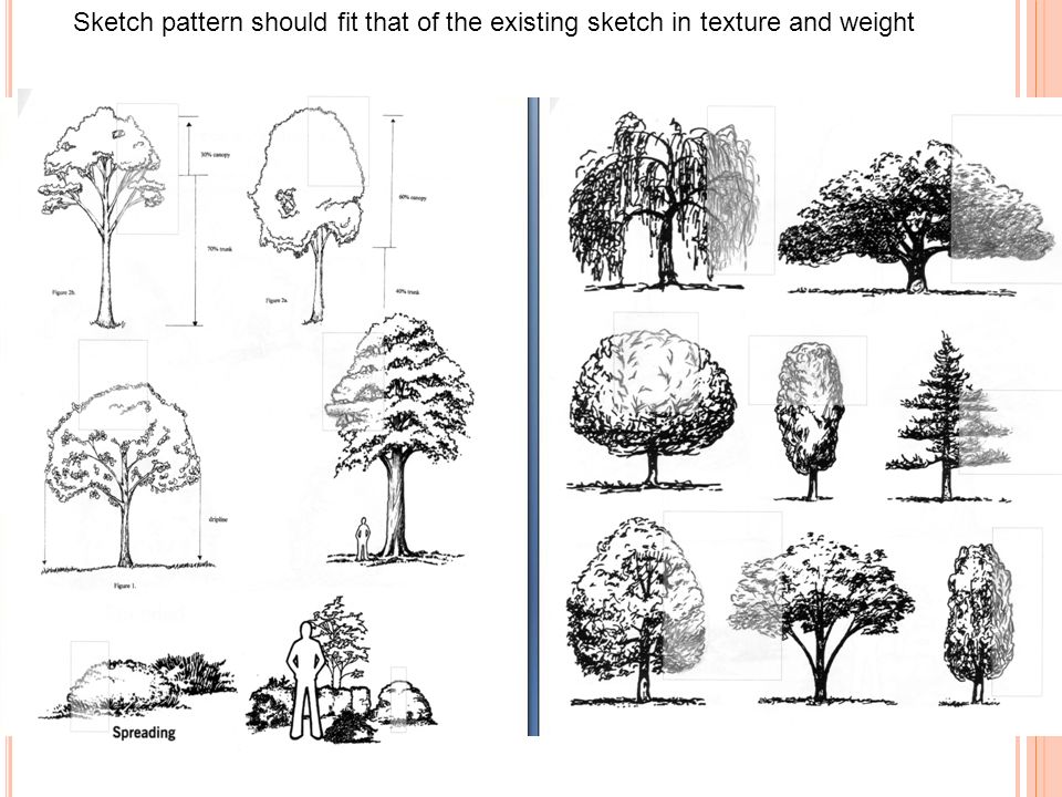 Sketch pattern should fit that of the existing sketch in texture and weight