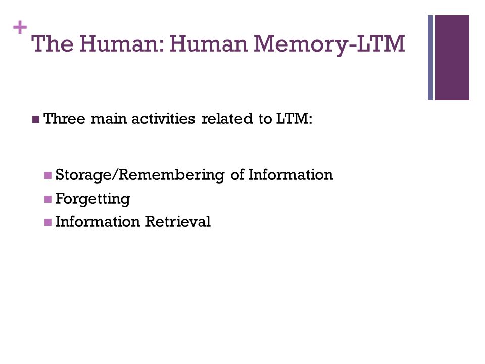 The Human: Human Memory-LTM