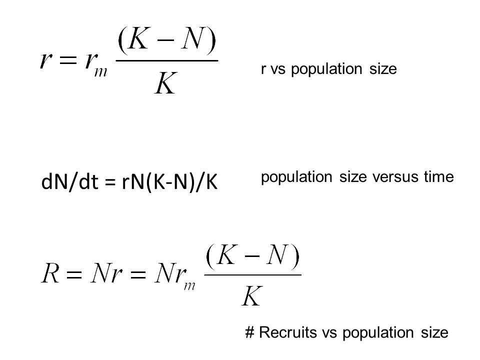 What Is A Species Ppt Download