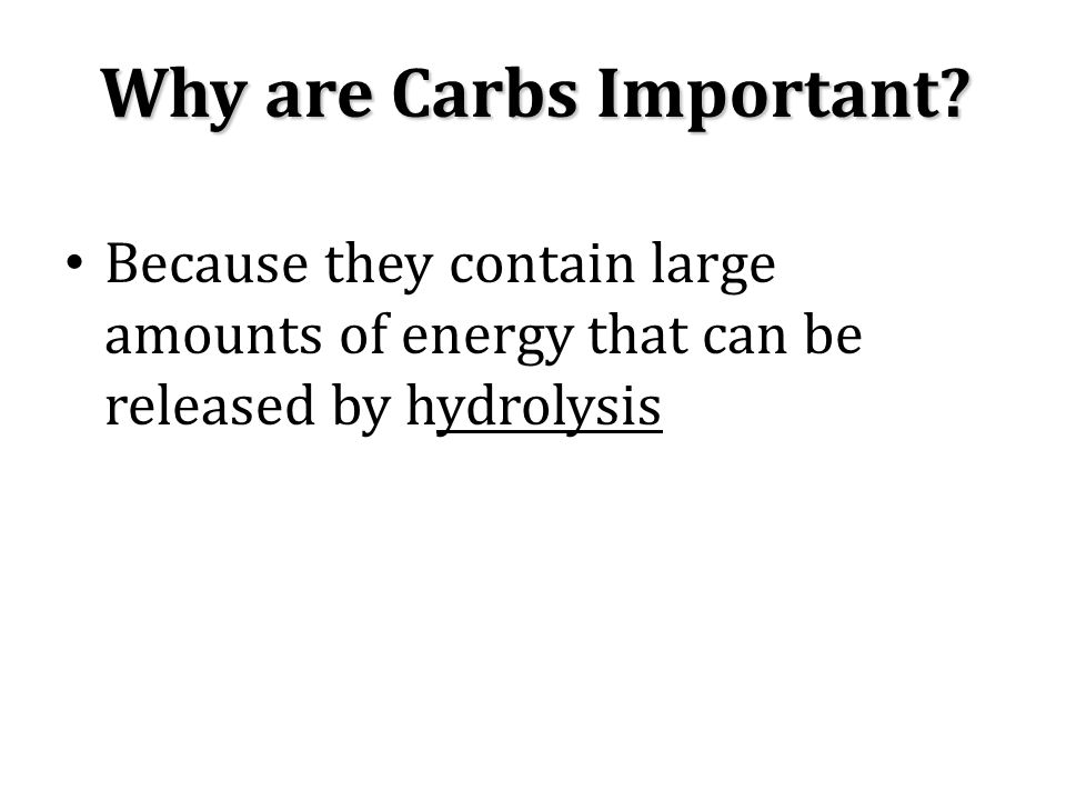 Why are Carbs Important