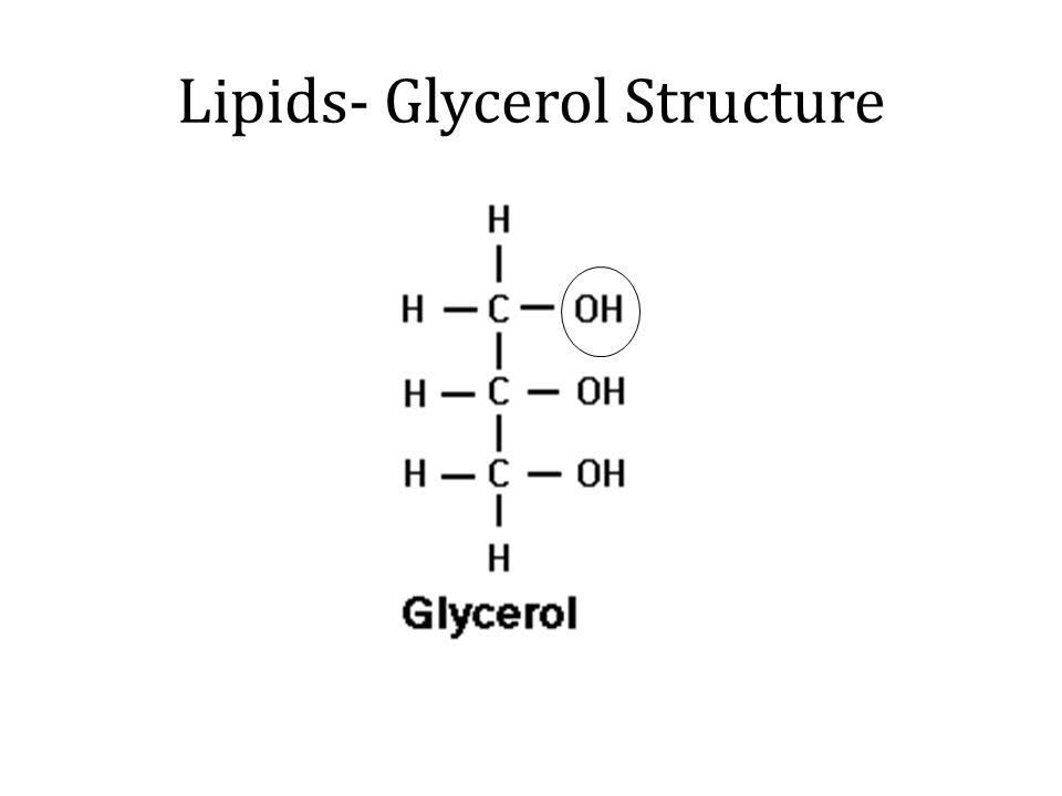 Lipids- Glycerol Structure