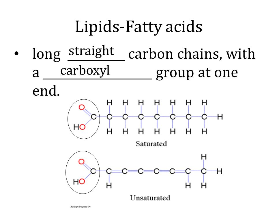 Lipids-Fatty acids long carbon chains, with a group at one end.