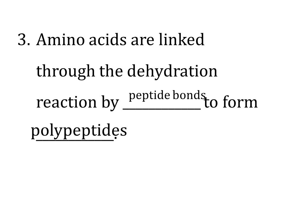 Amino acids are linked through the dehydration reaction by ____________ to form ____________.