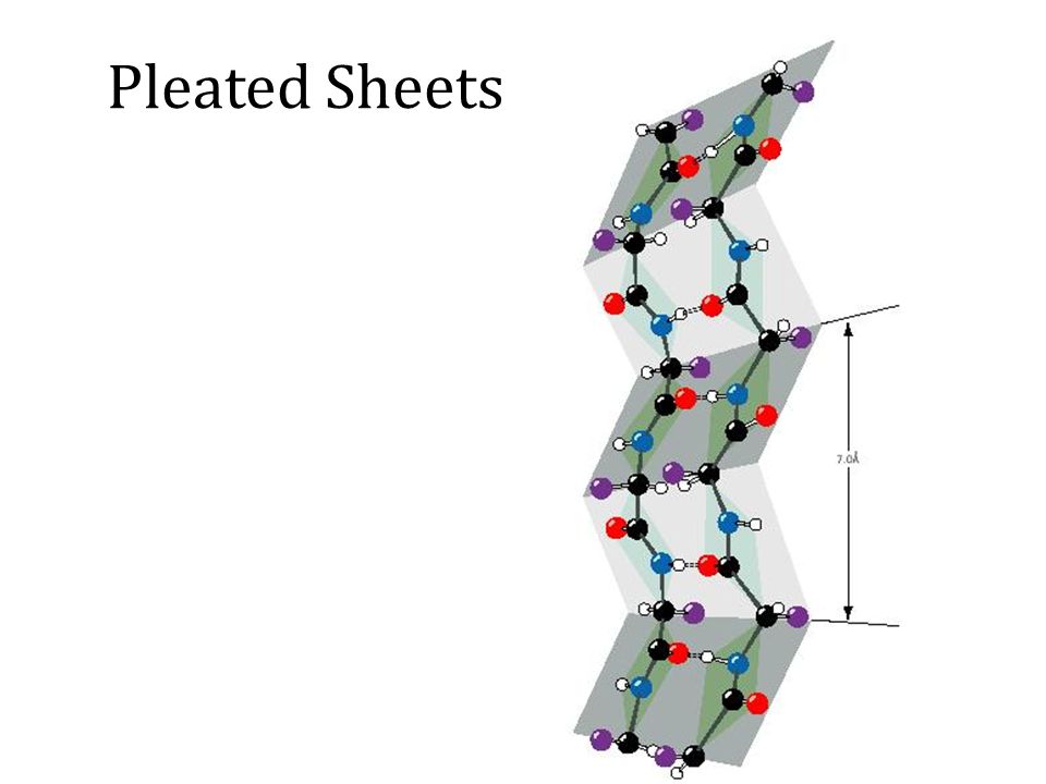 Pleated Sheets
