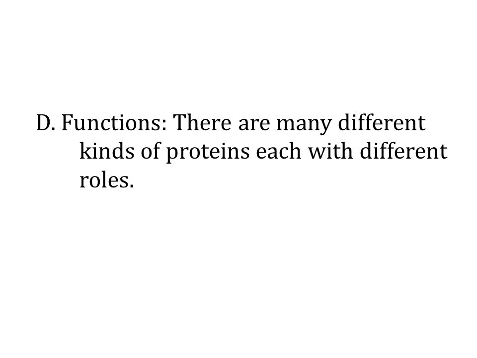 D. Functions: There are many different kinds of proteins each with different roles.