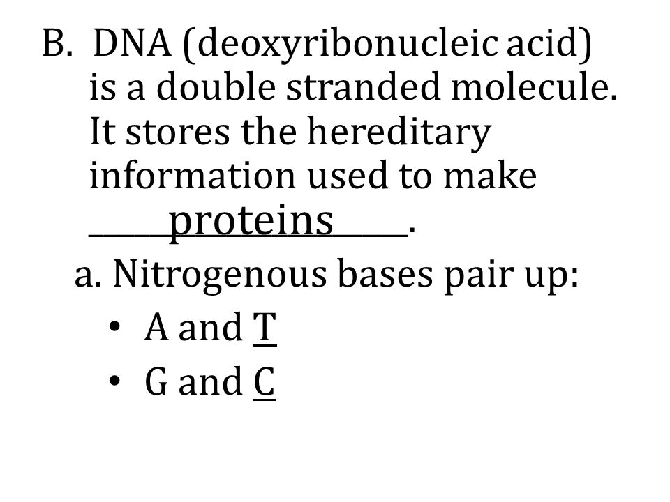 B. DNA (deoxyribonucleic acid) is a double stranded molecule