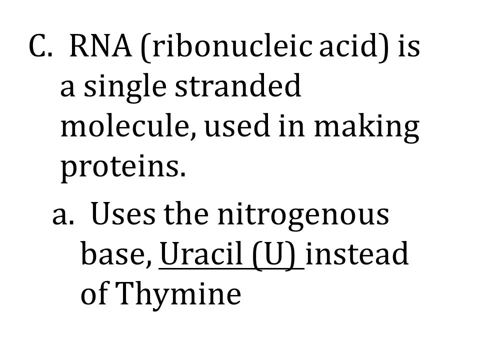 C. RNA (ribonucleic acid) is a single stranded molecule, used in making proteins.