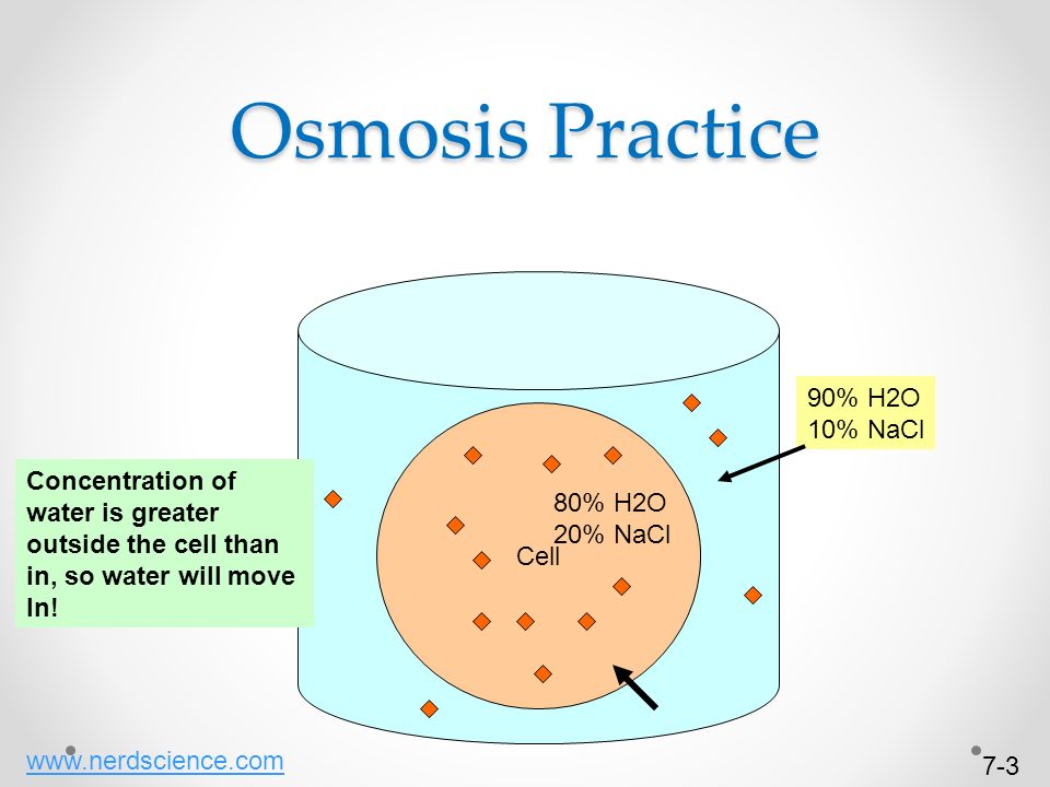 Cell Structure and Function - ppt download