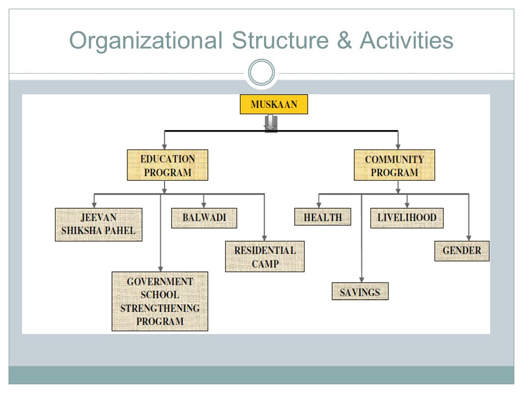 Organizational Structure & Activities