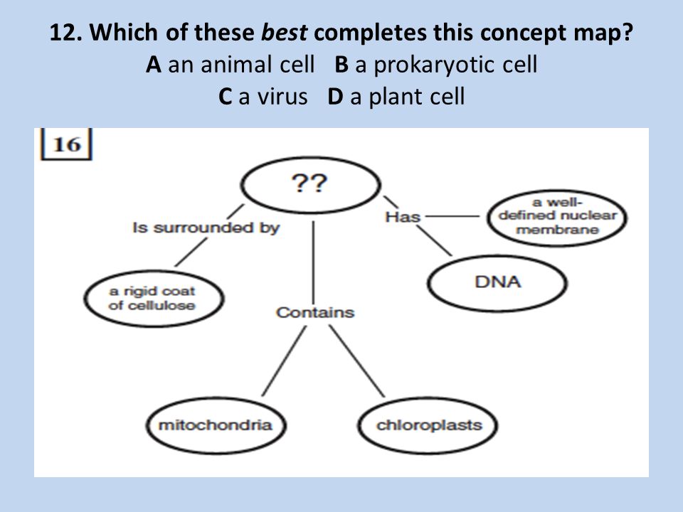 Which Of These Best Completes This Concept Map Keystone Biology Practice questions.   ppt download