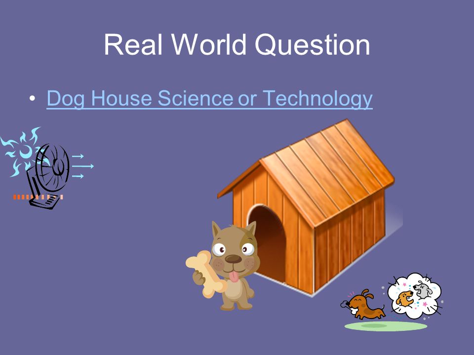 Real World Question Dog House Science or Technology