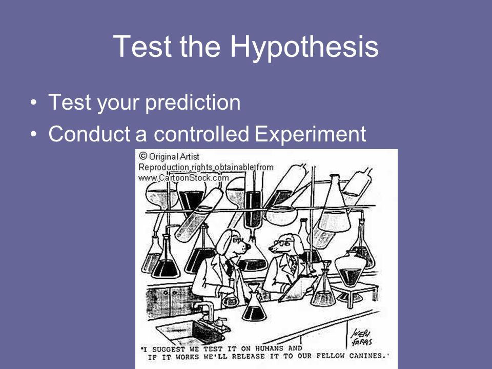 Test the Hypothesis Test your prediction