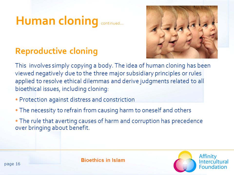 Human cloning continued…