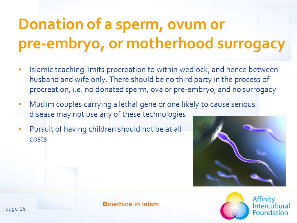 Donation of a sperm, ovum or pre-embryo, or motherhood surrogacy