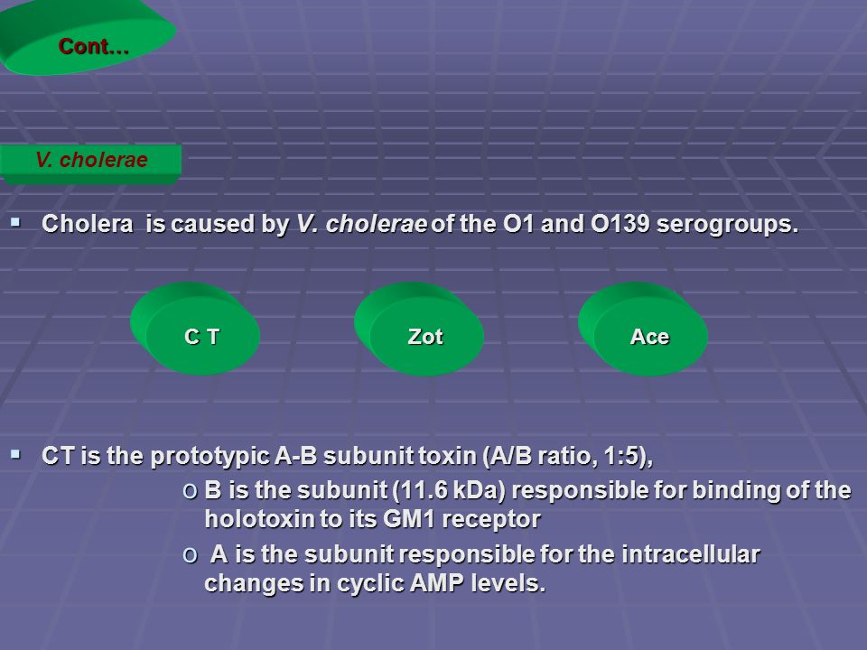 Cholera is caused by V. cholerae of the O1 and O139 serogroups.
