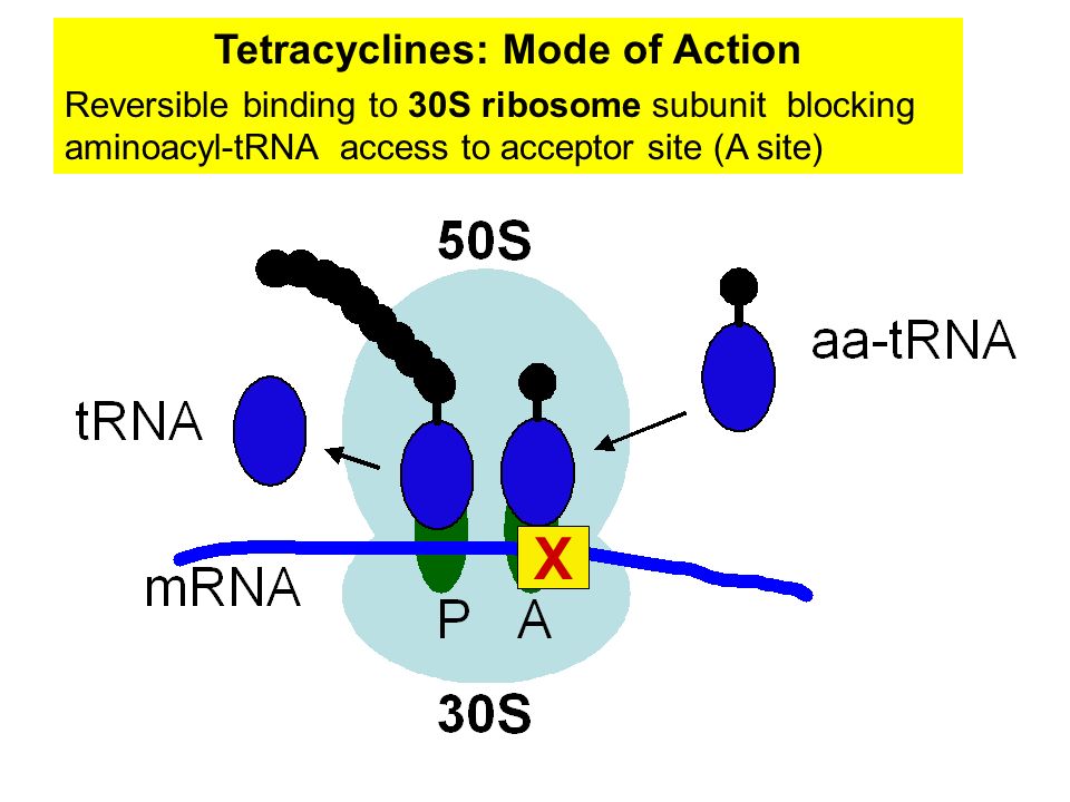 Tetracyclines: Mode of Action