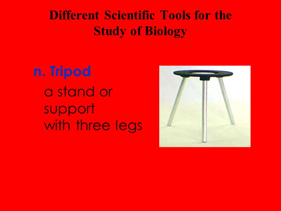Different Scientific Tools for the Study of Biology