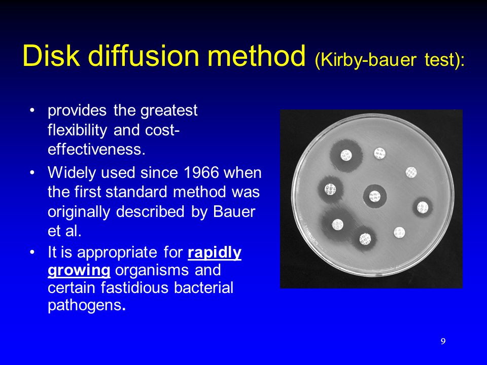 Standards for Antimicrobial Disk Susceptibility Tests - ppt download