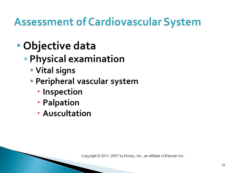 Focus On Nursing Assessment Cardiovascular System Ppt Download